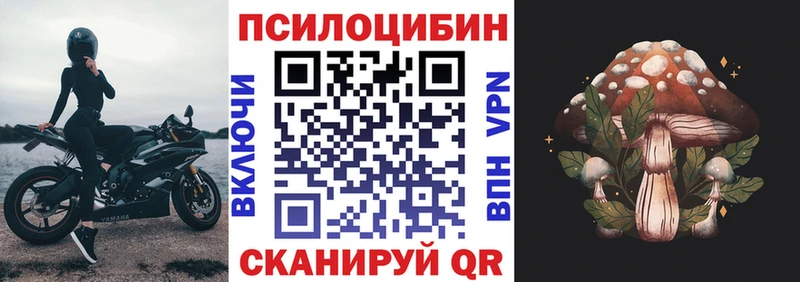 Галлюциногенные грибы Cubensis  закладка  Белогорск 